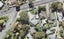 98 Godley Road, Green Bay, Auckland - Carousel 1