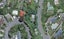 1/2A Warwick Street, Wilton, Wellington - Carousel 1