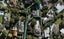 12A Woodley Avenue, Remuera, Auckland - Carousel 1