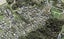 4 Meteor Place, Schnapper Rock, Auckland - Carousel 1