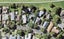 38A Jefferson Street, Glendowie, Auckland - Carousel 1
