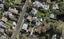 79A Bell Road, Remuera, Auckland - Carousel 1