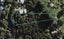 60 Hill Road, Palm Beach, Waiheke Island - Carousel 1