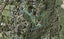 243 Point View Drive, Dannemora, Auckland - Carousel 1