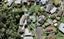 16 Lucknow Place, Blockhouse Bay, Auckland - Carousel 1