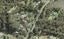 83 Haigh Access Road, Albany - Carousel 1