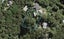 89D Queens Drive, Oneroa, Waiheke Island - Carousel 1