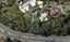 9 The Bluff, Riverside, Whangarei - Carousel 1