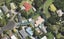 17 Heatherlea Street, Outer Kaiti, Gisborne - Carousel 1