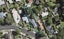 54 Grande Vue Road, Hillpark, Auckland - Carousel 1