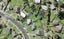 72 Leybourne Circle, Glen Innes, Auckland - Carousel 1