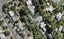 5C Awaroa Road, Sunnyvale, Auckland - Carousel 1
