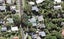 24 Harrybrook Road, Green Bay, Auckland - Carousel 1