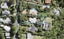 534 South Titirangi Road, Titirangi, Auckland - Carousel 1