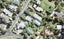 4 Flounder Point Road, Stillwater, Silverdale - Carousel 1