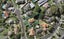 3 Mara Street, Meadowbank, Auckland - Carousel 1