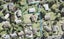 31 Nor'East Drive, Northcross, Auckland - Carousel 1