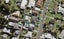 2/5 Dudding Avenue, Northcote, Auckland - Carousel 1