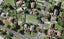 51 Erima Avenue, Point England, Auckland - Carousel 1