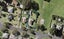 24 Anderson Avenue, Point England, Auckland - Carousel 1