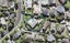 2 Lantana Road, Green Bay, Auckland - Carousel 1