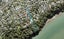 142 Cliff View Drive, Green Bay, Auckland - Carousel 1