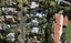 10 Stirling Street, Remuera, Auckland - Carousel 1