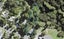 58 Sylvan Valley Avenue, Titirangi, Auckland - Carousel 1
