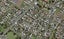 5B Viola Avenue, Mangere East, Auckland - Carousel 1