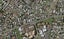 306A Ellerslie-Panmure Highway, Mount Wellington, Auckland - Carousel 1