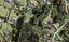 334B Redoubt Road, Totara Park, Auckland - Carousel 1