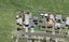 15 Kiekie Road, Mangere Bridge, Auckland - Carousel 1