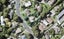 39 Robbies Road, Shelly Park, Auckland - Carousel 1