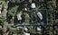 57 Erua Road, Ostend, Waiheke Island - Carousel 1