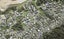 150 Kittiwake Drive, Schnapper Rock, Auckland - Carousel 1