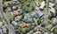4 Rowan Terrace, Te Atatu South, Auckland - Carousel 1
