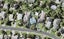 2/53 Drake Street, Howick, Auckland - Carousel 1