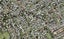 1A Edgewood Way, Henderson, Auckland - Carousel 1