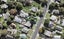 14A Nikau Street, New Lynn, Auckland - Carousel 1