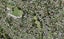 9D Tuakana Street, Point England, Auckland - Carousel 1