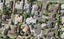 3 Campian Place, Golflands, Auckland - Carousel 1