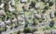 27 Nor'East Drive, Northcross, Auckland - Carousel 1