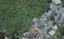 30 Montreal Grove, Kingston, Wellington - Carousel 1