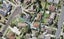 2/39 Majesty Place, Half Moon Bay, Auckland - Carousel 1