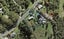 311 Paremoremo Road, Paremoremo, Auckland - Carousel 1