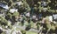 8 Ferry Road, Wade Heads, Whangaparaoa - Carousel 1