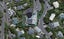 1 Palliser Road, Roseneath, Wellington - Carousel 1