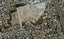 39 Parehua Street, Mount Wellington, Auckland - Carousel 1