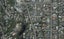 39 Albert Terrace, Saint Martins, Christchurch - Carousel 1