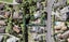 404 Riddell Road, Glendowie, Auckland - Carousel 1